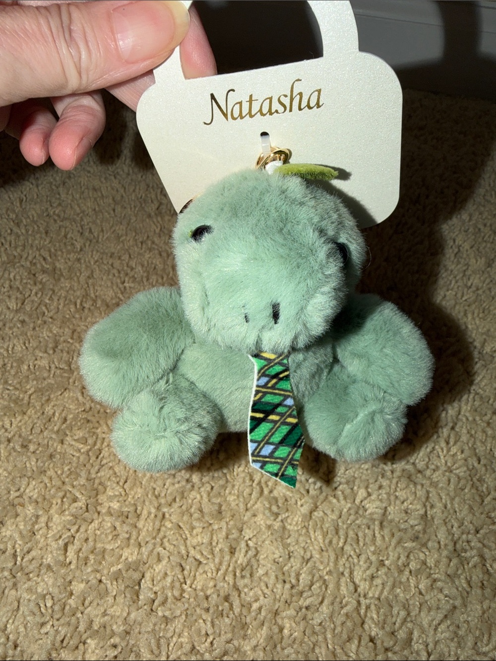 Natasha Plush Dinosaur Keychain/Bag Charm - Mint Green with Patterned Tie - Picture 8 of 8